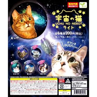 ［現貨］YELL 宇宙貓投影燈 扭蛋 轉蛋 貓咪 迷因 搞笑 小廢物 吊飾