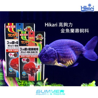 夏日水族｜現貨免運 日本 高夠力 金魚蘭壽飼料 baby mini ｜金魚 蘭壽 魚飼料 沉水 增豔 hikari