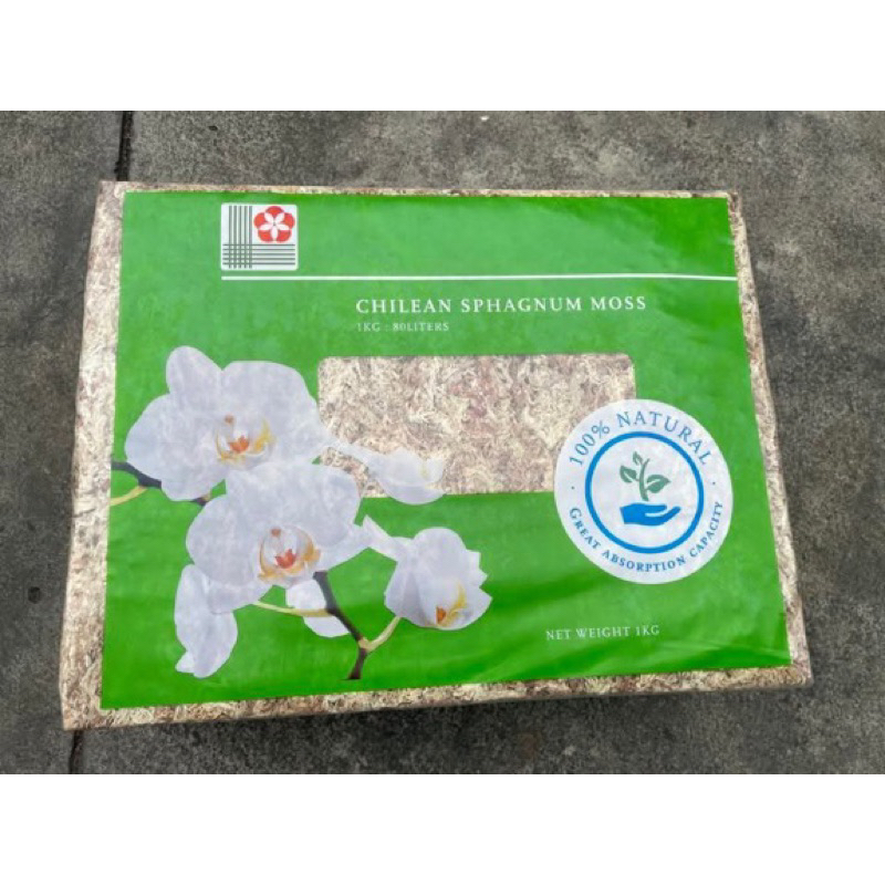 原廠包裝 智利水苔 水草 鹿角蕨水苔 蘭花 龜背芋 觀葉植物 室內植物 鹿角蕨介質