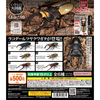 【LUNI 玩具雜貨】生物大圖鑑-鍬形蟲篇09 扭蛋 整套6款 BANDAI 4582769745331 鍬形蟲 模型