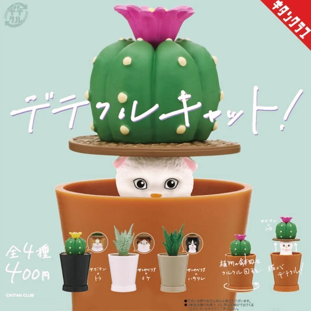 KITAN奇譚 盆栽躱貓貓 正版/絕版 扭蛋 轉蛋  貓 盆栽 仙人掌 躲貓貓 公仔