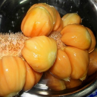 金蜜榴槤蜜苗🟡正品🟡靠接大苗盆栽高甜度 紅肉榴槤蜜苗 黃肉榴槤蜜苗 馬杜榴槤蜜苗 秋蜜榴槤蜜苗 紅喜榴槤蜜苗 水果苗