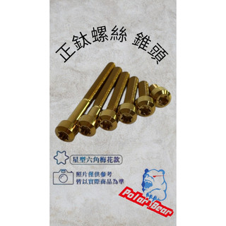M8 正鈦螺絲 錐頭 鈦螺絲 M8螺絲 鈦合金螺絲 M8鈦螺絲