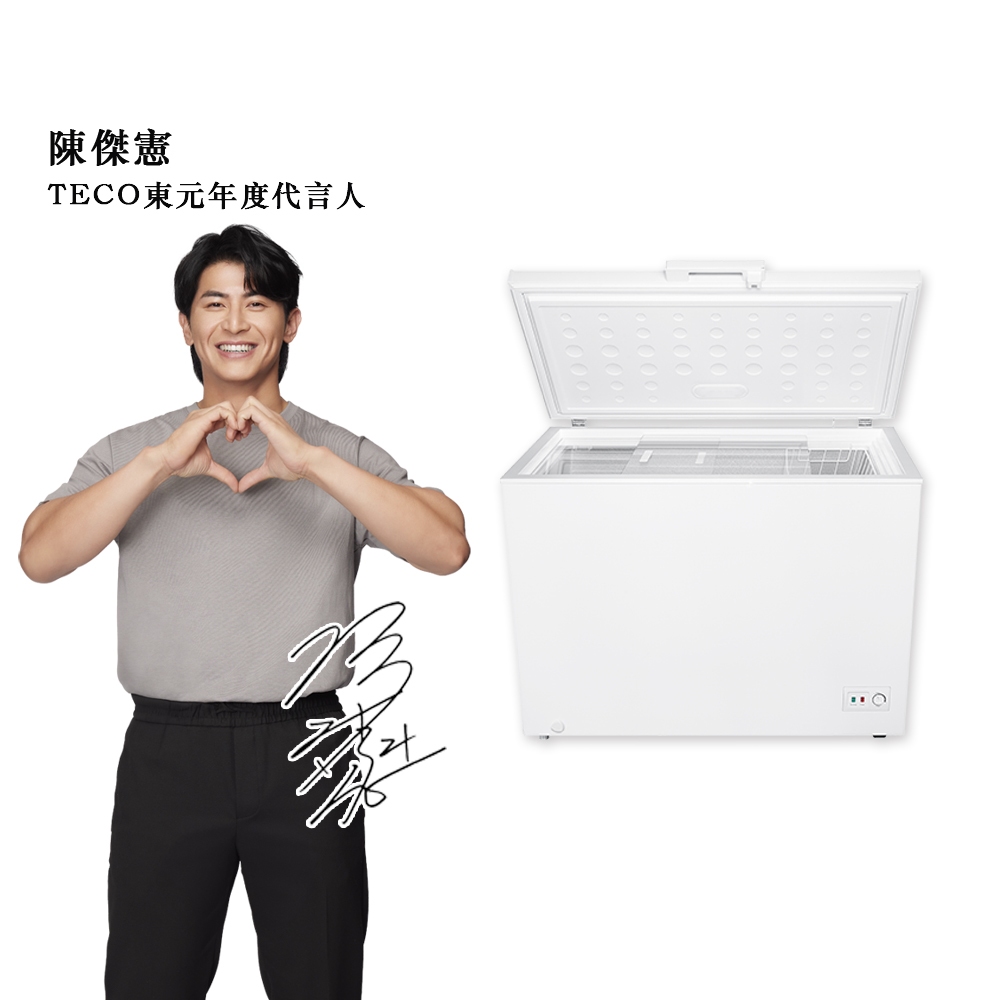 TECO東元 300公升上掀式定頻單門冷凍櫃 RL3002W