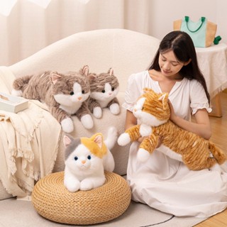 FAT CAT 韓系精品☆現貨+預購可愛模擬趴趴貓咪絨毛玩具布娃娃橘貓睡覺抱枕三花貓兒童安撫玩偶交換生日禮物☆批價270