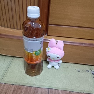 美樂蒂小娃娃 小娃娃