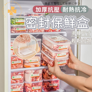 隔日快速到貨 冰箱保鮮盒 食品密封盒 生鮮分類盒 冷凍收納盒 耐熱便當盒 四葉草 快速出貨 臺灣出貨