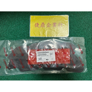 Aeon原廠 ELITE 250 3D350 300E 300i 300R 濾清棉 海綿 料號：1720562U-000