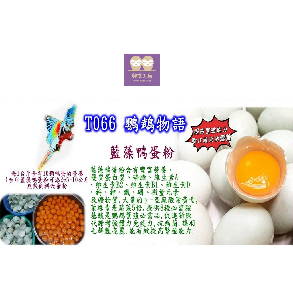 美光T066 藍藻鴨蛋粉 ｜鸚鵡 飼料 鳥｜腳環工廠強力推薦