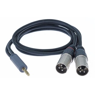 志達電子 英國 iFi Audio 4.4mm to XLR Cable SE 平衡訊號線