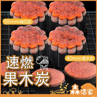 無煙木炭 速燃果木炭 烤肉架 可當火種 火種 木炭烤肉 木炭 中秋烤肉 露營 燒肉 快速點燃 快速助燃 33&40&55