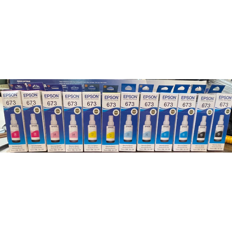 原廠 EPSON T673 673 全新盒裝原廠墨水 L800 L1800 L805 800 1800