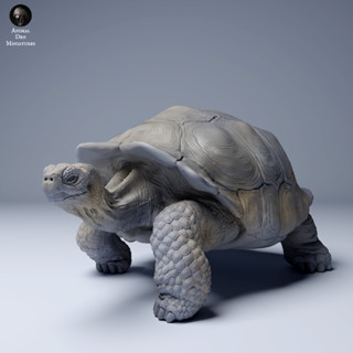 Tazo工坊[AD] 加拉巴哥象龜pose3 Galápagos giant tortoise 3D列印模型TGI