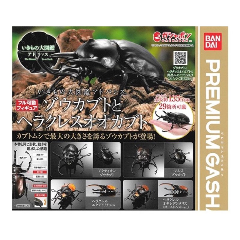 萬代 生物大圖鑑 Premium 可動模型 扭蛋 封面款 日本帶回現貨
