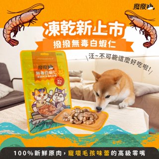 撥撥無毒白蝦仁 - 東部純淨海水養殖，貓狗適用原肉凍乾｜每包20g