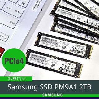 Samsung 三星 PM9A1 2TB NVMe PCIe Gen4 SSD 固態硬碟 拆機良品