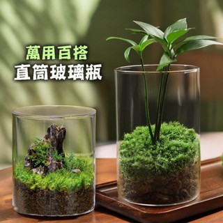 【草葉日和】苔蘚 花器 玻璃花瓶 微景觀 直筒玻璃花器 盆栽 生態瓶 多肉植物 室內植物 花盆 玻璃花瓶 生態瓶蝦