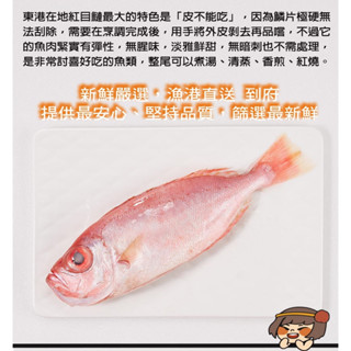 華得水產 東港野生紅目鰱魚200-220g