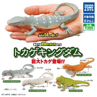 【盒蛋廠】TAKARA TOMY可動生物模型-巨大蜥蜴篇 全四款 4904790074004 日本扭蛋、整套組、指定銷售