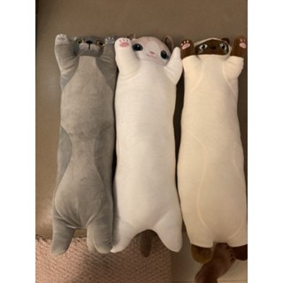 現貨~可愛貓咪長條抱枕~約50cm