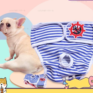 🐶寵物館🐶MI 狗狗生理褲 S-XXL全品種犬型 純棉透氣時尚條紋防騷擾防側漏生理褲 尿布 狗姨媽巾 月經褲 狗內褲