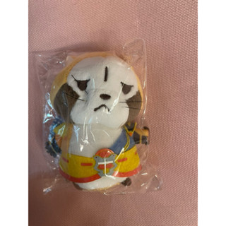 ☆瘋娃舖☆ 抓樂霸 日本景品 日本小浣熊 小浣熊 拉斯卡爾 rascal 世界名作劇場 浣熊娃娃 生日禮物 交換禮物