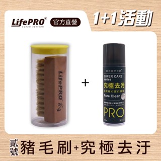 MINIPRO臺灣 貳號-豬鬃毛刷 原木豬毛刷 豬毛刷 鞋刷 除塵刷 刷子 清潔刷【買就送洗鞋慕斯、萬物好刷 現貨免運】