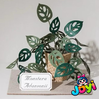 ⭐正版⭐現貨⭐紙模型 紙植栽DIY材料包 洞洞蔓綠絨 9028403 紙風景 手作 擺飾 紙模型紙雕 壓克力展示盒