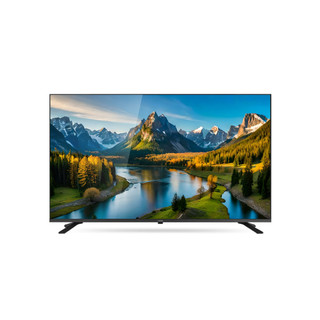 奇美55型Google TV連網液晶顯示器 TL-55G200(不含安裝)