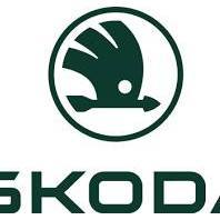 SKODA Octavia Superb FABIA SCALA KAMIQ EGR tdi 柴油汽油晶片調整 一階