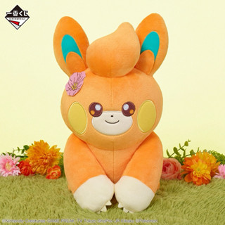 一番賞《寶可夢》 D賞 布波 絨毛娃娃 約25cm