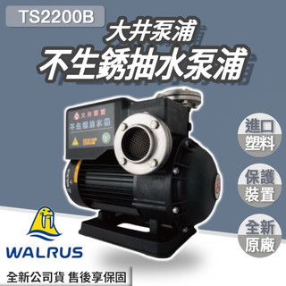 大井 不生銹抽水泵浦 TS2200B ｜抽水馬達 抽水泵浦