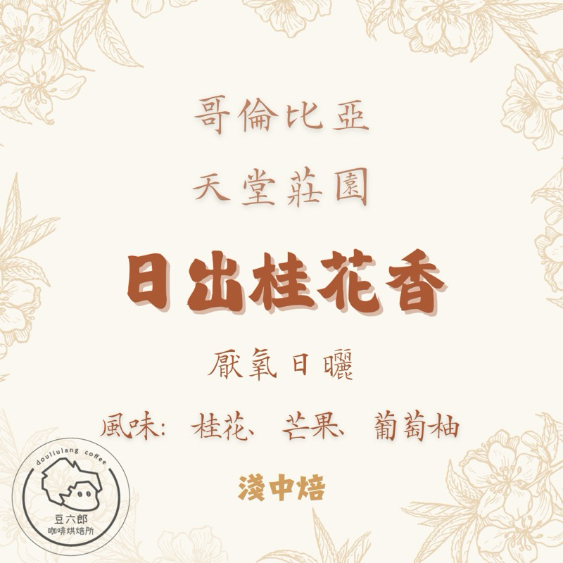 哥倫比亞 天堂莊園 日出桂花香 淺中焙 咖啡豆 掛耳咖啡 接單現烘