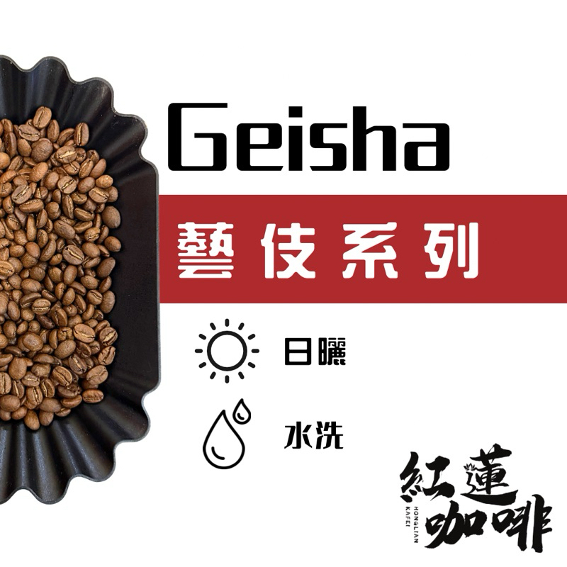 ‹紅蓮咖啡› 精品藝伎系列 翡翠莊園/花魁藝伎/露西藝伎/金寶/花蝴蝶藝伎/琥珀瑰夏/藝伎谷   平價藝妓 咖啡豆