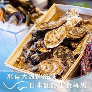 鮭山島 水產超市 M規日本生食級全殼生蠔/單顆 約90g 生食級 美味 料理 好吃 高級生蠔 海鮮 水產 批發