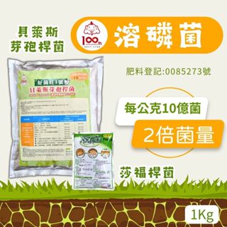 (現貨)溶磷菌 貝萊斯芽孢桿菌 好菌肥1號 菌專家 福壽 1公斤 園藝 肥料 農夫樂