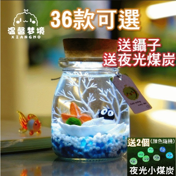 🔥台灣現貨🔥綠藻球生態瓶 微景觀生態瓶海藻球生態瓶綠藻球玻璃瓶辦公室小物小盆栽生日禮物聖誕節禮物手做diy(套裝組)