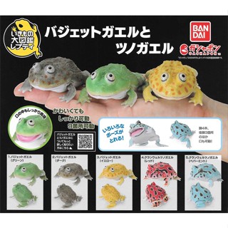 生物大圖鑑 圓眼珍珠蛙與角蛙 扭蛋 轉蛋 圓眼珍珠蛙 小丑蛙 角蛙 BANDAI 萬代 日本正版【現貨】