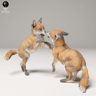 Tazo工坊[AD] 兩隻赤狐玩耍two Red Fox playing 3D列印模型UW
