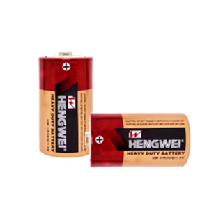 Macro Giant 恆威HENGWEI 無尾熊 環保綠能碳鋅電池 1號 D 2入 Battery 玩具 熱水器 適用