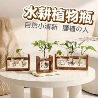 【妤眾不同】水耕植物瓶 水耕瓶 水培瓶 水耕植物 水培植物 實木支架 玻璃 桌上型盆栽 現貨附發票