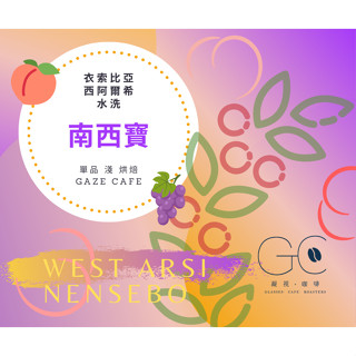 【臺灣亞軍 世界盃烘豆大賽】南西寶 衣索比亞 西阿爾西 咖啡豆 手沖咖啡 莊園咖啡豆 阿拉比卡 水洗