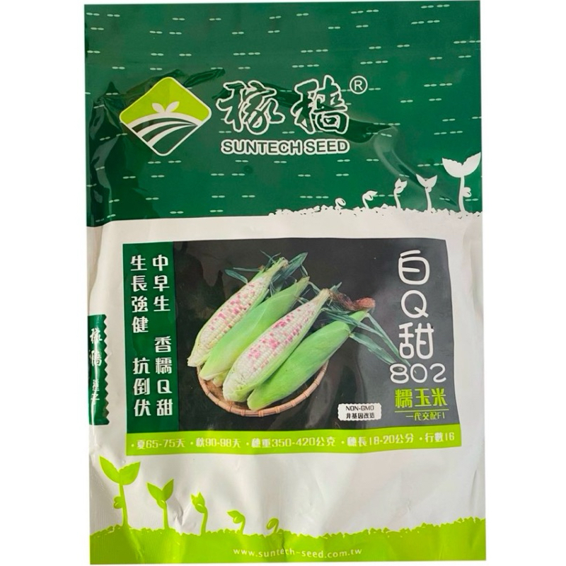 玉米種子 糯米玉米種子 802玉米 稼穡種子 鞥