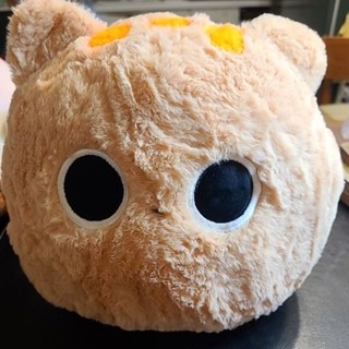 二手橘貓抱枕絨毛娃娃兒童玩具24公分