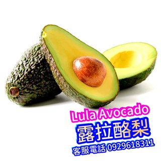 ✅露拉酪梨✅嫁接苗盆栽 Lula avocado 美國酪梨品種/秋可 秋可得 厚兒 紅心園 竹崎早生 章安 水果苗