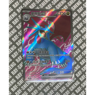 寶可夢中文版PTCG 對戰搭檔 暴飛龍 ex sr 119/100 sr