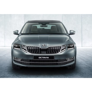 台灣之光 Skoda Škoda OCTAVIA 17 18 19 20 21年 原廠型 專用 鹵素燈泡版 大燈 頭燈