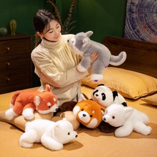 FATCAT韓系精品☆正版三姿小熊貓絨毛玩具布娃娃趴趴熊貓睡覺抱枕北極熊辦公室午睡枕哈士奇兒童安撫玩偶狐狸交換生日禮物