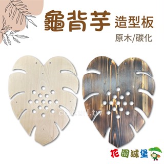 現貨 自然風 龜背芋造型原木植板 原木/碳化 天然材質 手工製作 鹿角蕨 多肉植物 蘭花 文青風格 木板