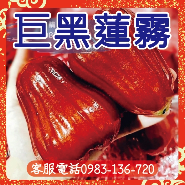 白玉蓮霧的價格推薦- 2026年5月| 比價比個夠BigGo